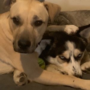 Meet your Posher, Teresa